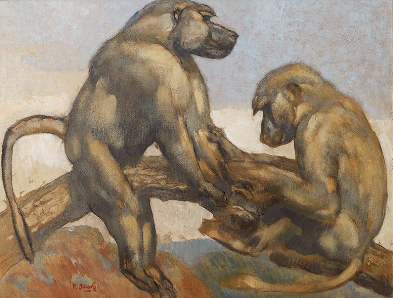 Babouins branchés, circa 1943