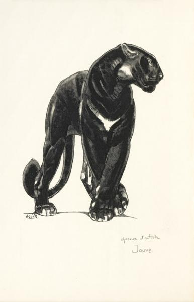 Panthère noire debout, c. 1948