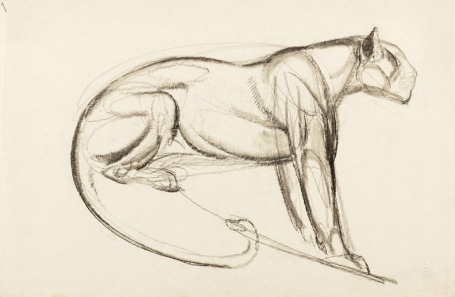 Panthère assise guettant sa proie, esquisse, circa 1920